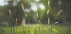 Foto di Nanda Green su Unsplash