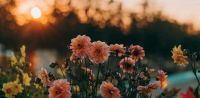 Leggi tutto: Rimanere nell’amore