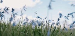 Foto di Annie Spratt su Unsplash