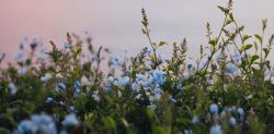 Foto di Mike Uderevsky su Unsplash