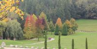 Leggi tutto: Slideshow in home page Bose