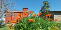 Leggi tutto: Slideshow in home page Civitella
